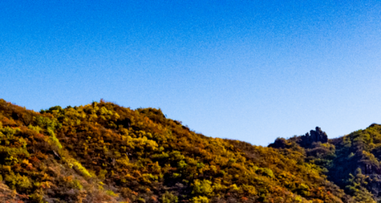 【北京一周一山·百花山】京西秘境：在百花山，遇见最绚烂的秋色画卷~