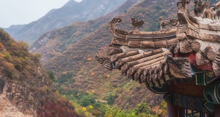 【北京一周一山·香屯】早鸟优惠来袭丨千亩板栗园与明代长城环抱下的徒步秘境：溪流潺潺，长城蜿蜒，感受山谷间的纯净之美