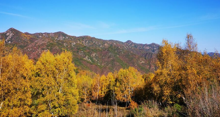 【北京一周一山·海坨山南大梁】当海坨山与秋天邂逅，那种美会惊艳到你