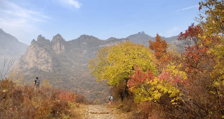 【北京一周一山·黄草梁】十里草甸染金甲，七座楼头望古今：登顶黄草梁，看漫山遍野的秋日辉煌