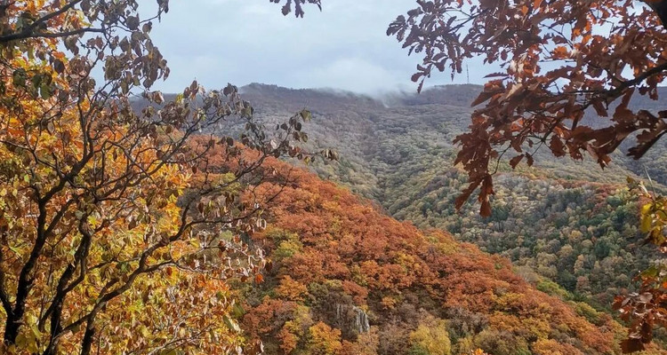 【北京一周一山·百花山】京西秘境：在百花山，遇见最绚烂的秋色画卷~