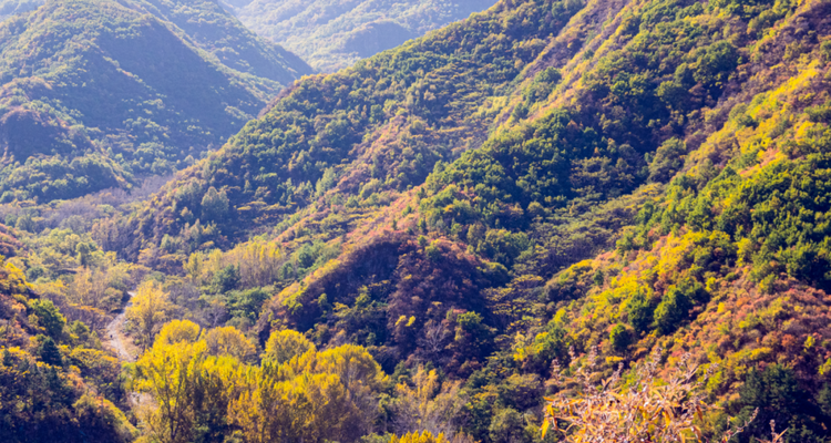 【北京一周一山·百花山】京西秘境：在百花山，遇见最绚烂的秋色画卷~