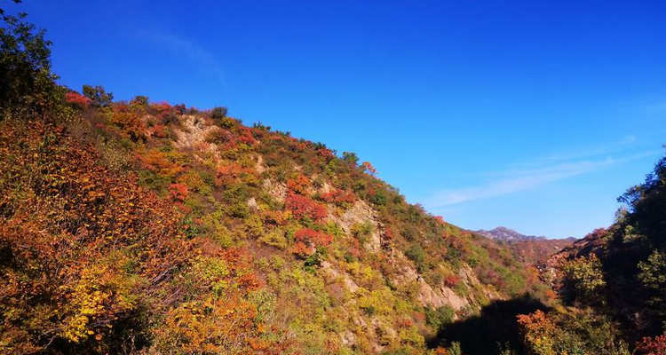 【北京一周一山·海坨山南大梁】当海坨山与秋天邂逅，那种美会惊艳到你