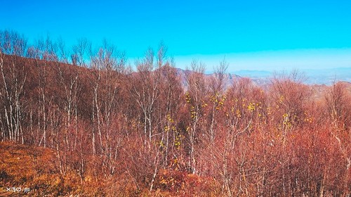 【北京一周一山·北灵山】早鸟优惠来袭丨壮丽北灵山：步履间豁达胸怀‌‌丨于草甸与流云间寻得自在，一次治愈心情的云端漫步~