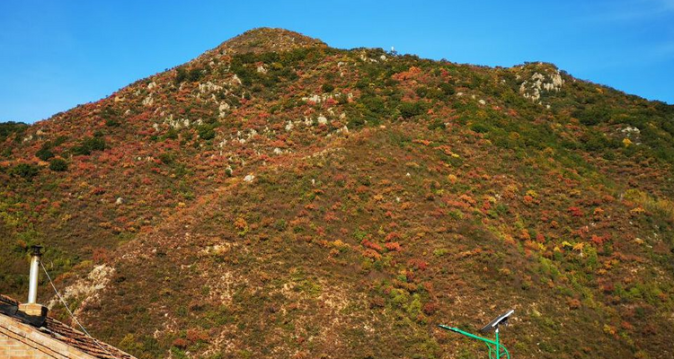 【北京一周一山·海坨山南大梁】当海坨山与秋天邂逅，那种美会惊艳到你
