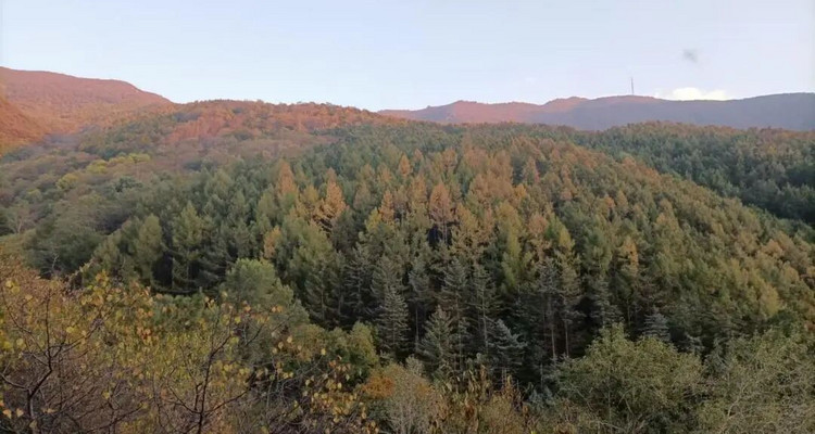 【北京一周一山·百花山】京西秘境：在百花山，遇见最绚烂的秋色画卷~