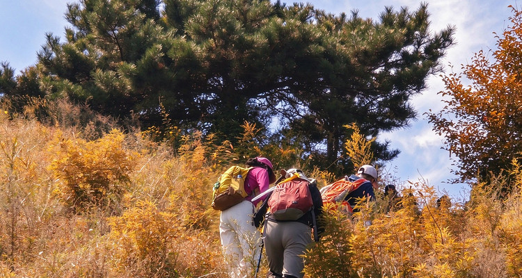 【北京一周一山·歪顶坨】早鸟优惠来袭丨远眺环秀湖，漫步性感山脊线，感受山脊伴湖泊的快感‌~