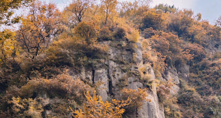 【北京一周一山·莲花滩 】早鸟优惠来袭丨童话森林里的漫步+奔向山谷秘境深处一线天+感受山野乐趣~