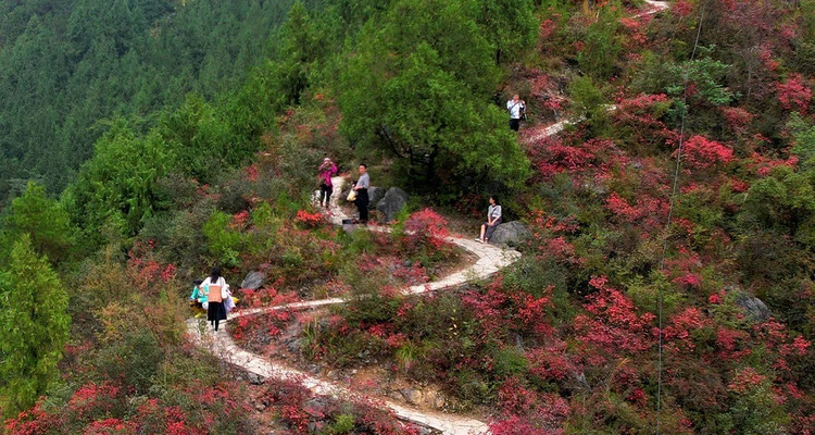 【三峡传奇・泛舟红叶7日】重庆+云阳张飞庙+奉节诗城博物馆+三峡之巅+白帝城+小三峡小小三峡+文峰观+神女天路+三峡人家+三峡大坝2-8人小包团&8人拼团
